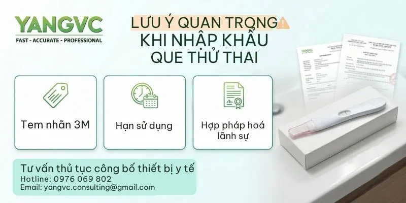 Lưu ý quan trọng khi làm thủ tục nhập khẩu