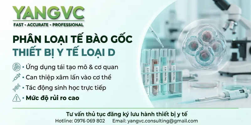 Phân loại tế bào gốc
