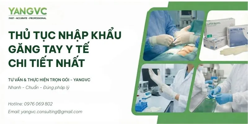 Thủ tục nhập khẩu găng tay y tế chi tiết