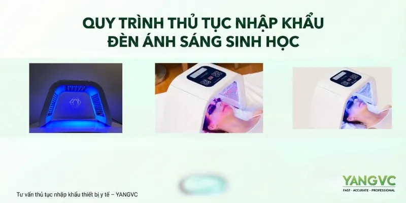 Quy trình nhập khẩu đèn ánh sáng sinh học