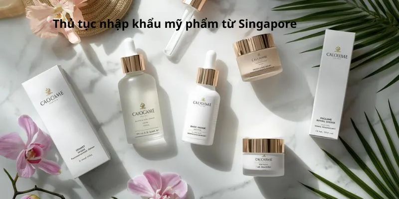 thủ tục nhập khẩu mỹ phẩm từ Singapore