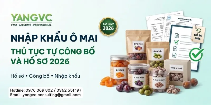 Nhập khẩu ô mai: Thủ tục tự công bố và hồ sơ chi tiết 2026