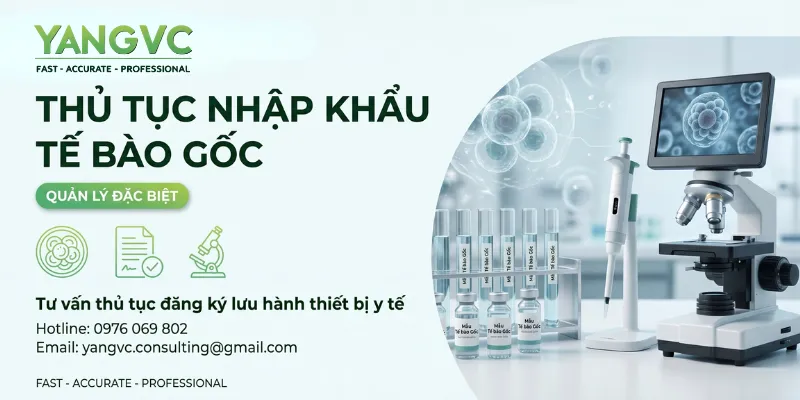 Thủ tục nhập khẩu tế bào gốc về Việt Nam mới nhất 2026